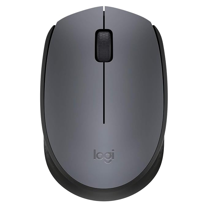 Logitech M171 Wireless Mouse authentic product photography